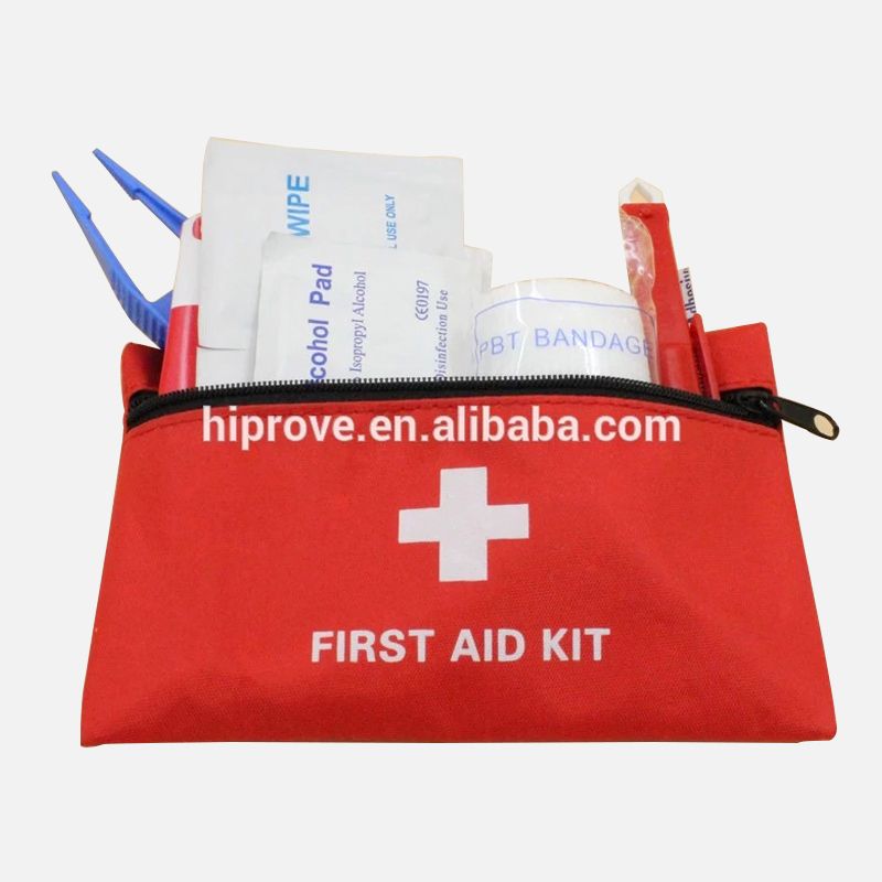 Mini First Aid Kit